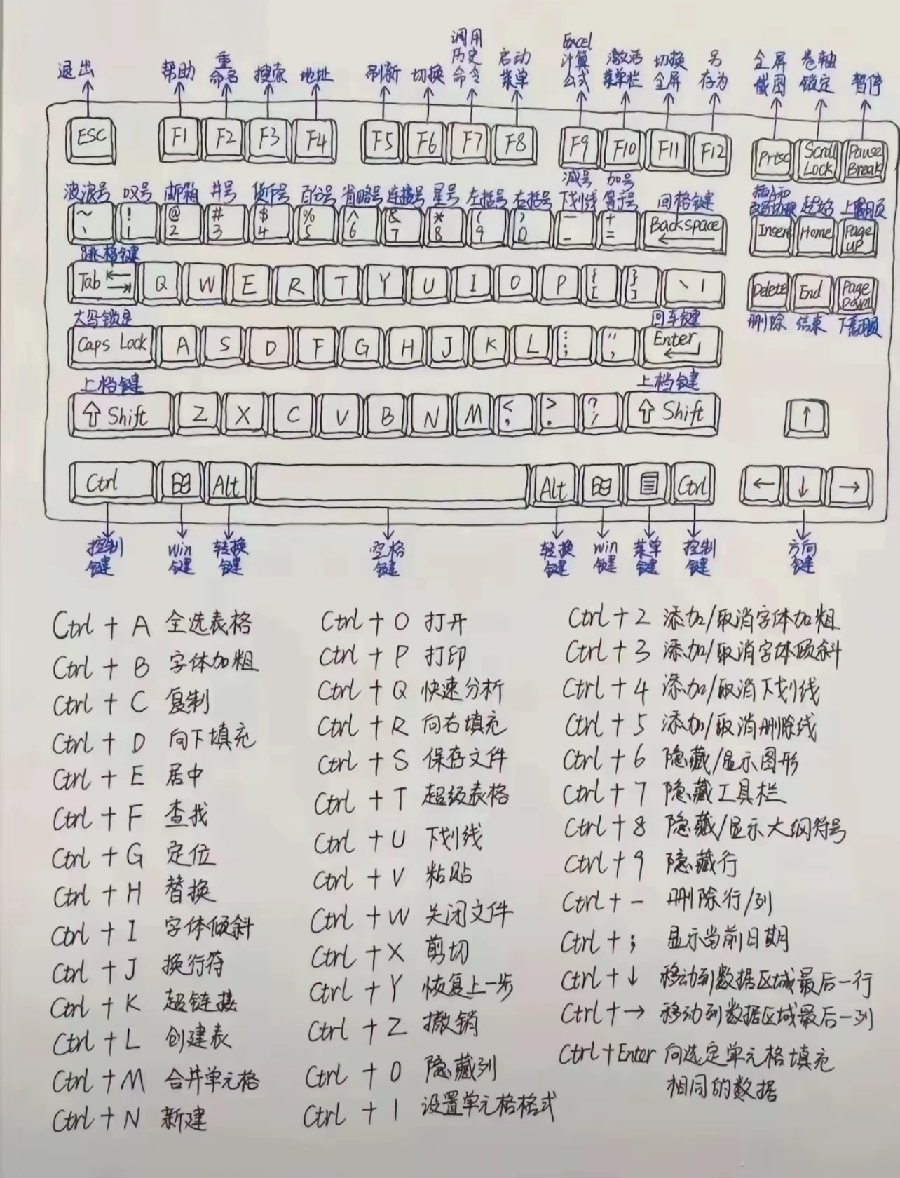 WPS快捷键1.png